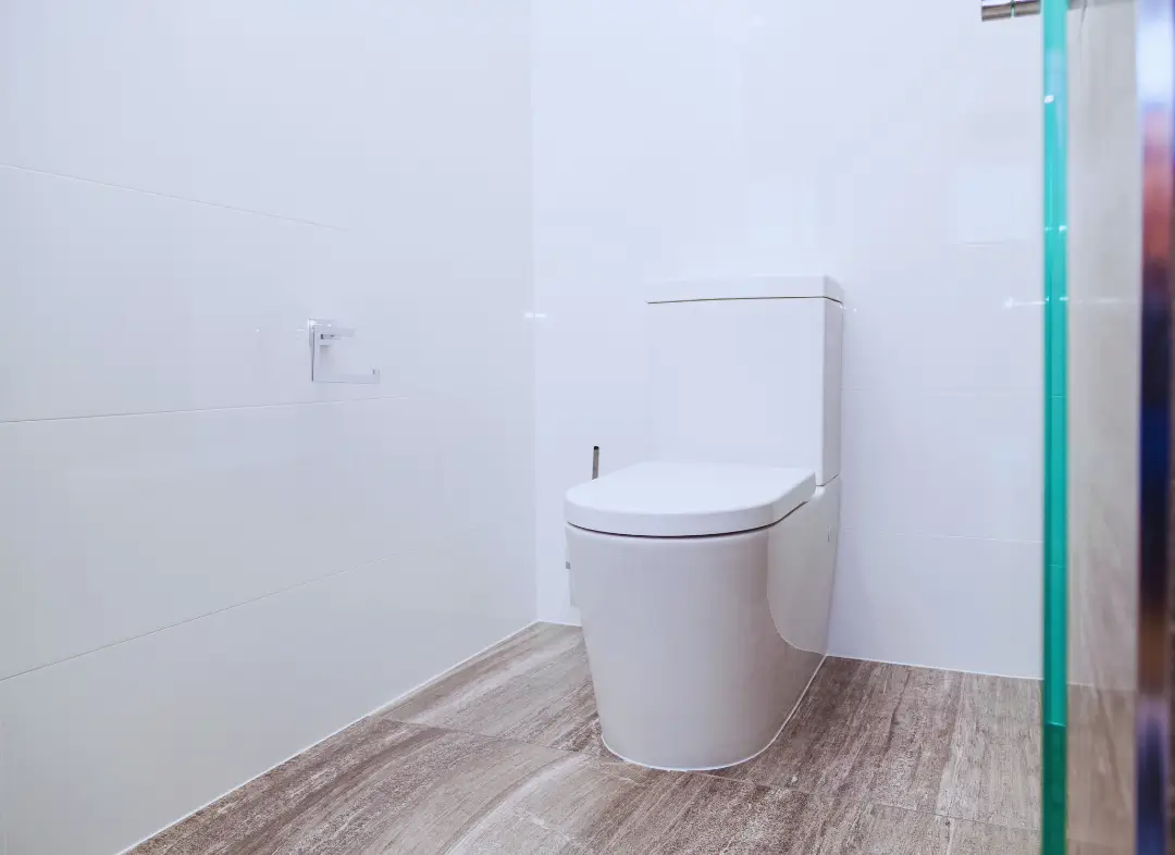 Remplacement de wc Bitche